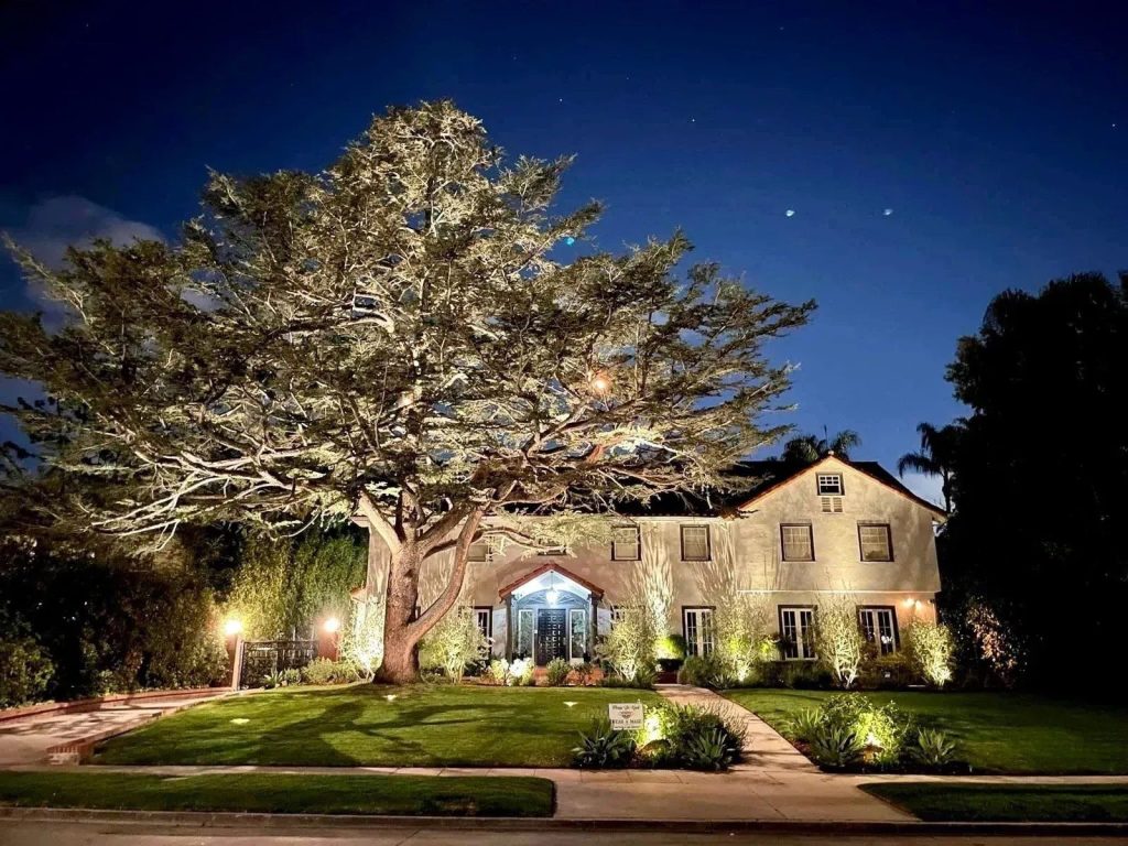 Landscape uplighting on DFW residential property at night